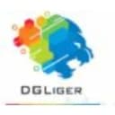 DGLiger Consulting