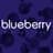 Blueberry Labs
